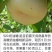 奶油蟠桃苗天外之星油蟠桃苗红肉油蟠桃苗油蟠6-21桃苗