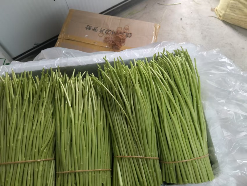 今天的货