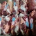 内蒙牛肉，草原地溜达牛（）
