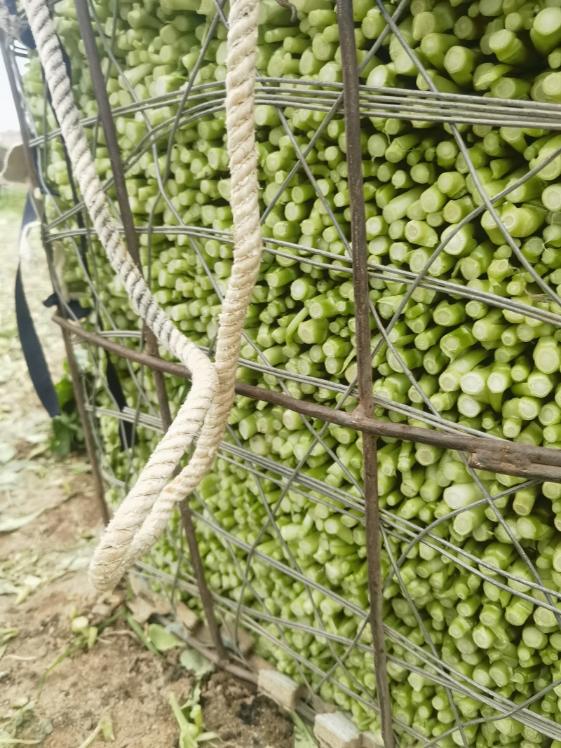 各种叶菜类蔬菜都是精品