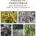 硝态氮，氨态氮，尿态氮，硝酸钾，二氢钾，亚磷酸钾