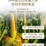 硝态氮，氨态氮，尿态氮，硝酸钾，二氢钾，亚磷酸钾