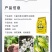 硝态氮，氨态氮，尿态氮，硝酸钾，二氢钾，亚磷酸钾