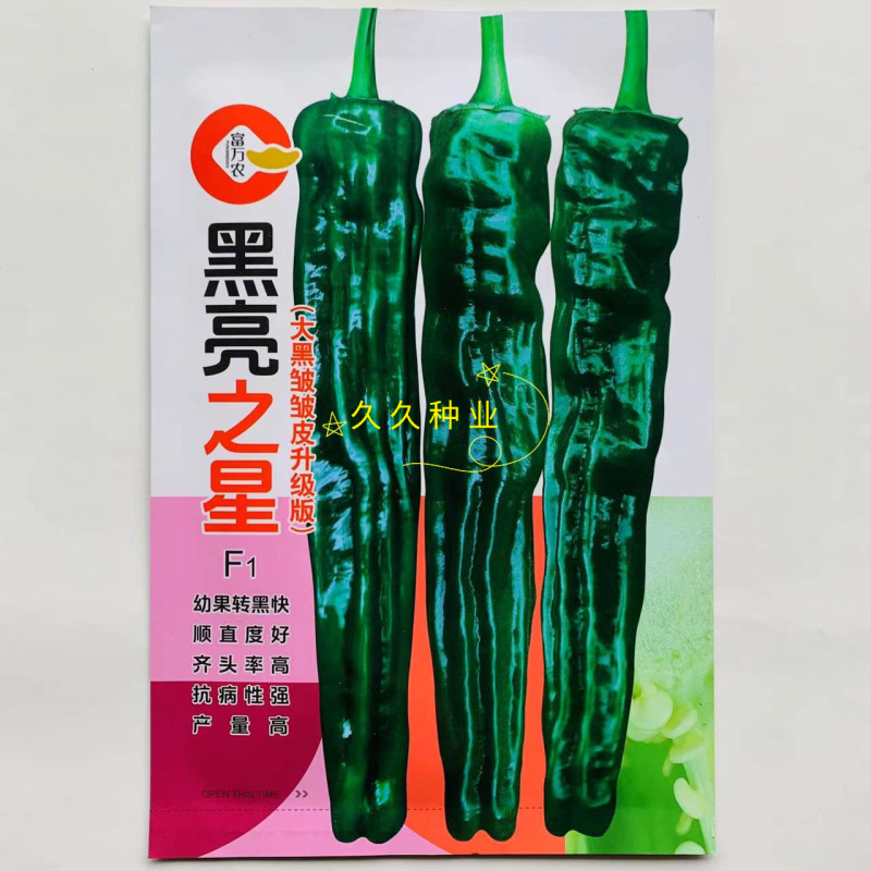 黑亮之星中早熟杂交大黑邹皮辣椒种子转黑快亮度高皮薄味辣口