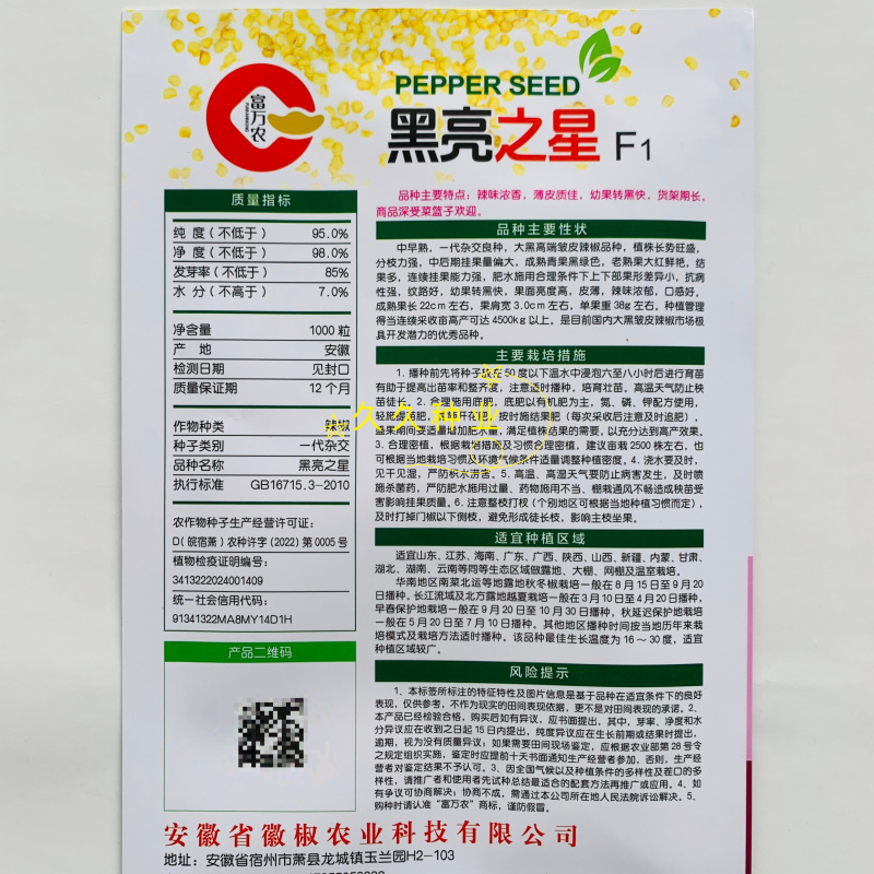 黑亮之星中早熟杂交大黑邹皮辣椒种子转黑快亮度高皮薄味辣口