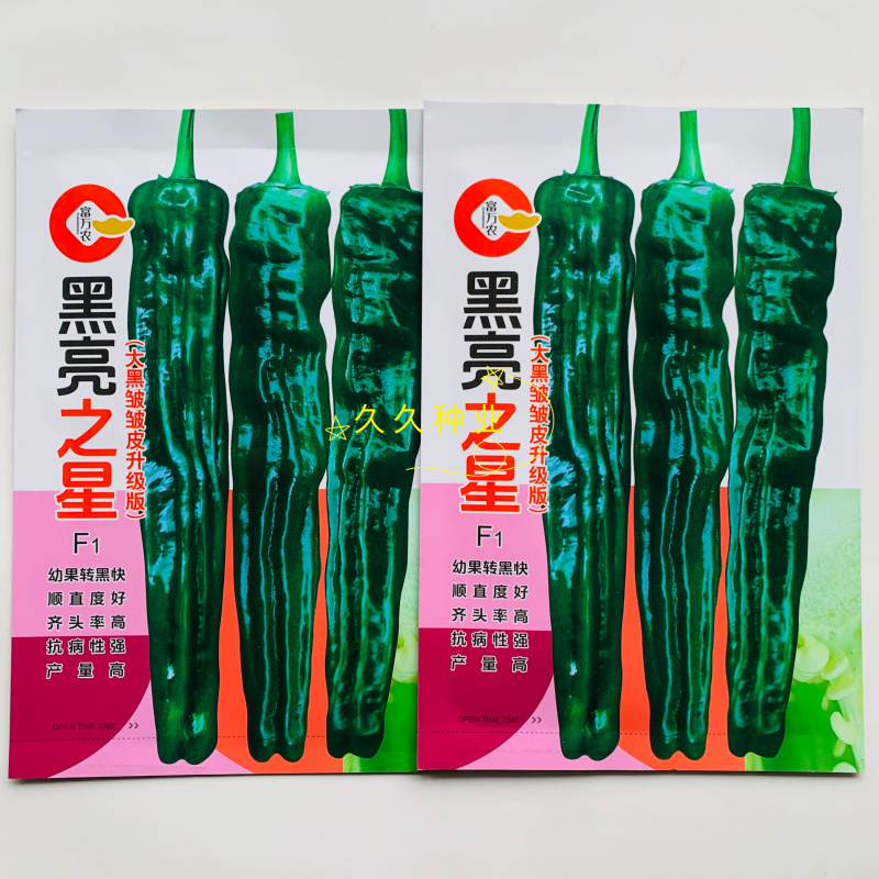 黑亮之星中早熟杂交大黑邹皮辣椒种子转黑快亮度高皮薄味辣口