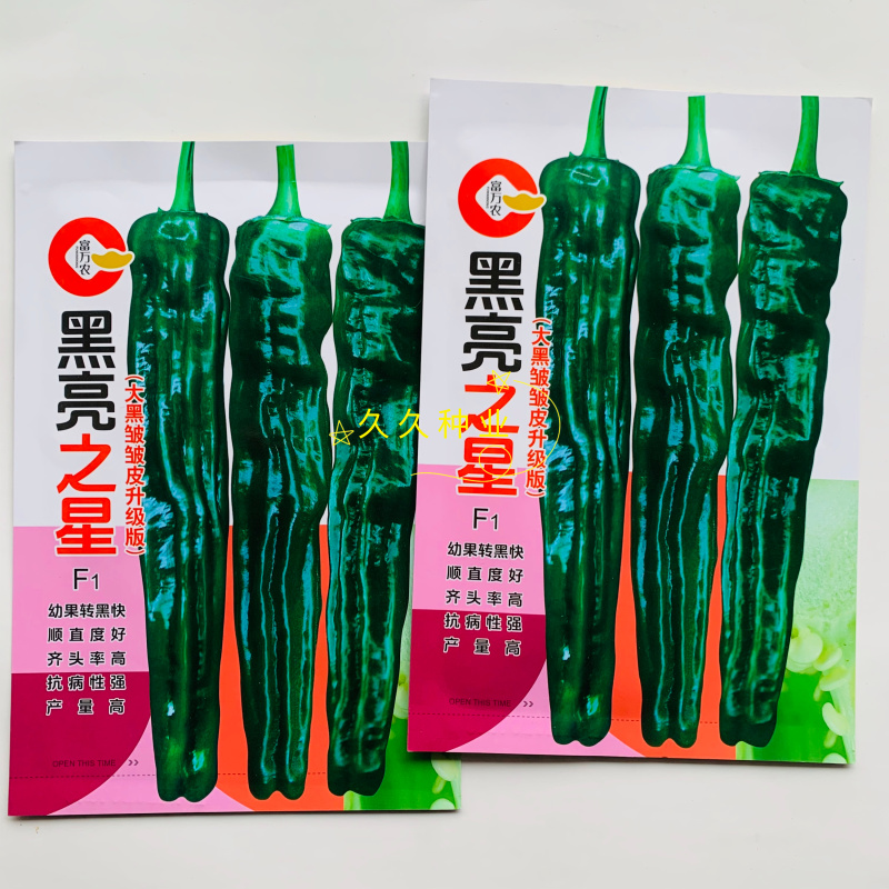 黑亮之星中早熟杂交大黑邹皮辣椒种子转黑快亮度高皮薄味辣口