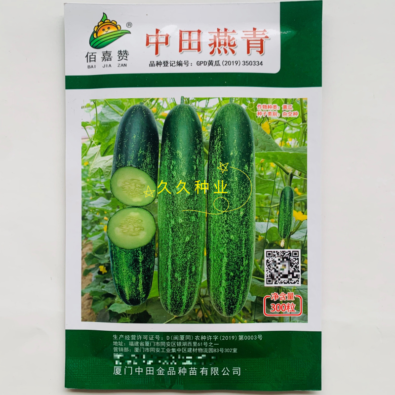 中田燕青水果黄瓜中早熟瓜形端直口感脆甜黄瓜种子春秋大棚
