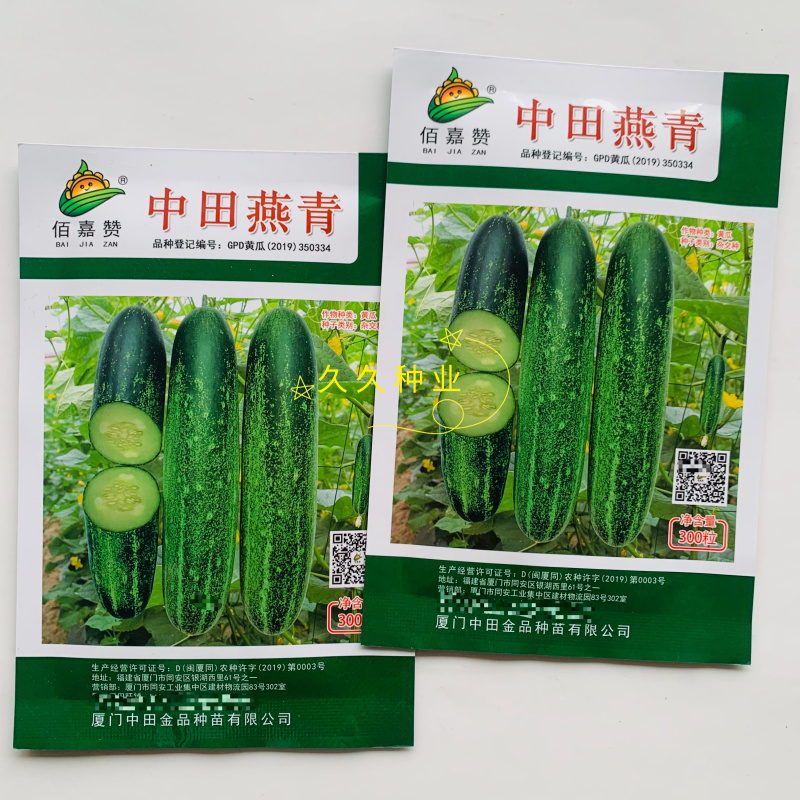 中田燕青水果黄瓜中早熟瓜形端直口感脆甜黄瓜种子春秋大棚