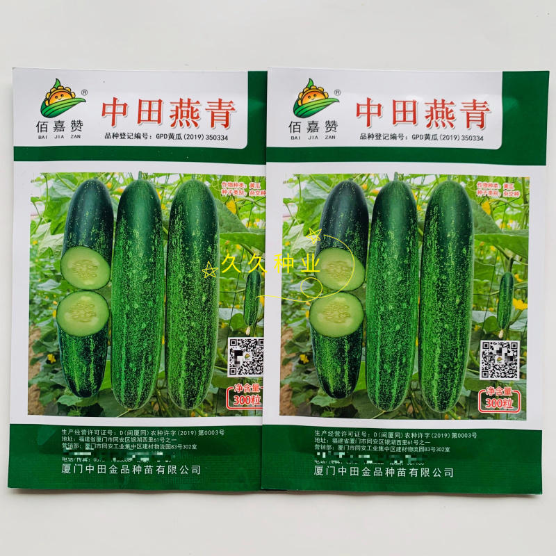 中田燕青水果黄瓜中早熟瓜形端直口感脆甜黄瓜种子春秋大棚