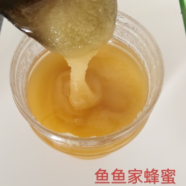 土蜂蜂蜜