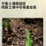 微微生物菌肥/农肥/菌肥内含枯草芽孢杆菌，低音芽孢杆菌