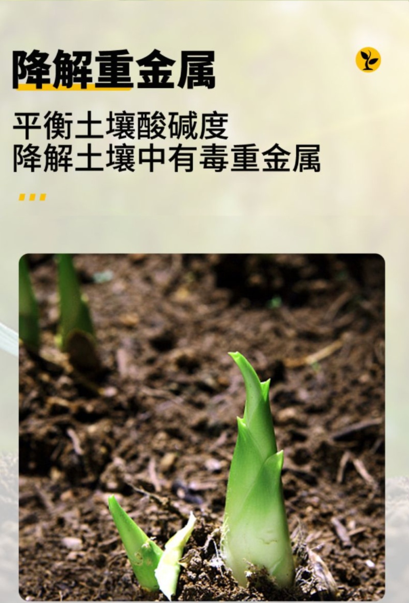 微微生物菌肥/农肥/菌肥内含枯草芽孢杆菌，低音芽孢杆菌