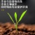 微微生物菌肥/农肥/菌肥内含枯草芽孢杆菌，低音芽孢杆菌