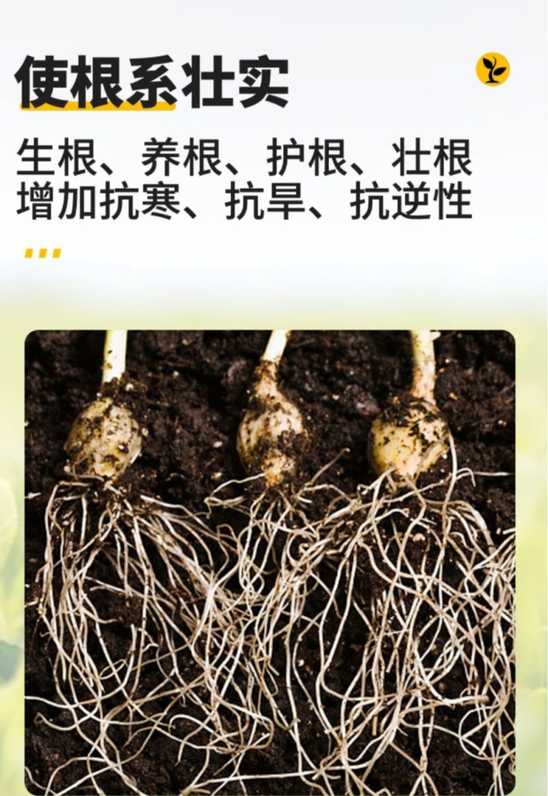 微微生物菌肥/农肥/菌肥内含枯草芽孢杆菌，低音芽孢杆菌