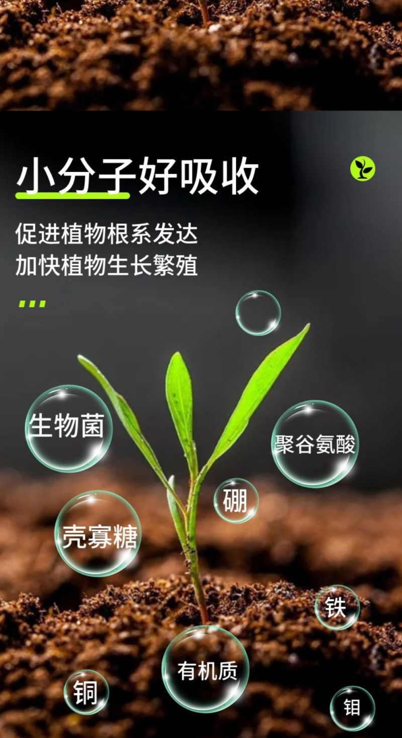 微微生物菌肥/农肥/菌肥内含枯草芽孢杆菌，低音芽孢杆菌