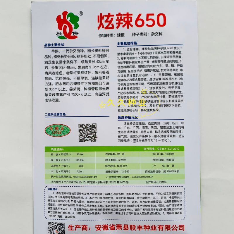 炫辣650早熟特长加粗线椒种子结果多不易倒伏抗病强产量高