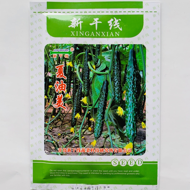 夏油美油亮黄瓜种子耐热强雌绿心密刺黄瓜种籽绿肉春夏秋