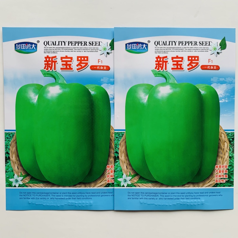 新宝罗特大甜椒种子青椒灯笼椒种子大号辣椒高产春秋大田