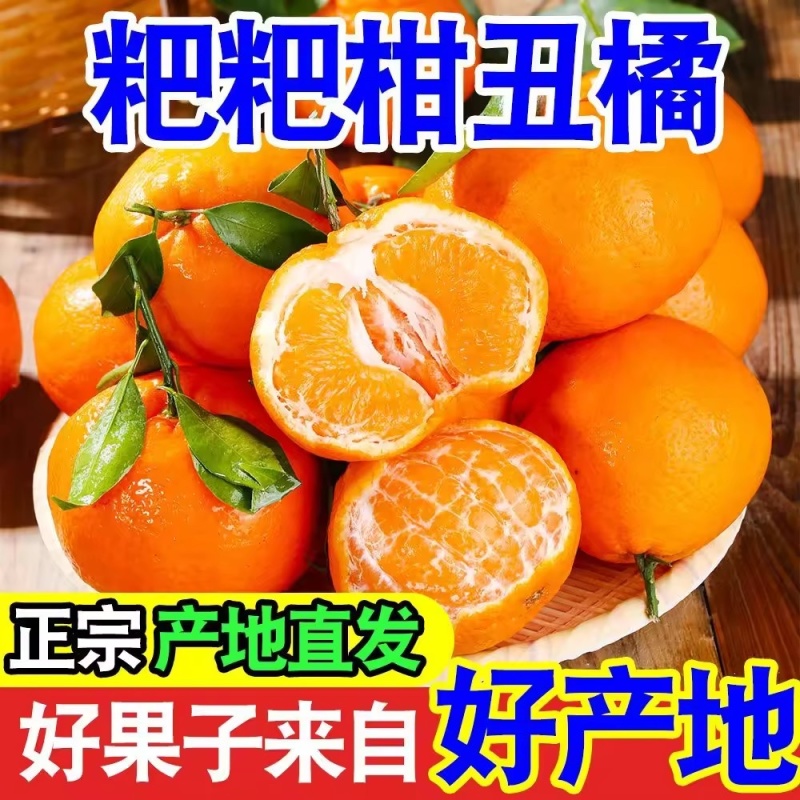 【电商】四川眉山春见粑粑柑丑橘产地直发代发