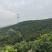 【电商】四川眉山春见粑粑柑丑橘产地直发代发