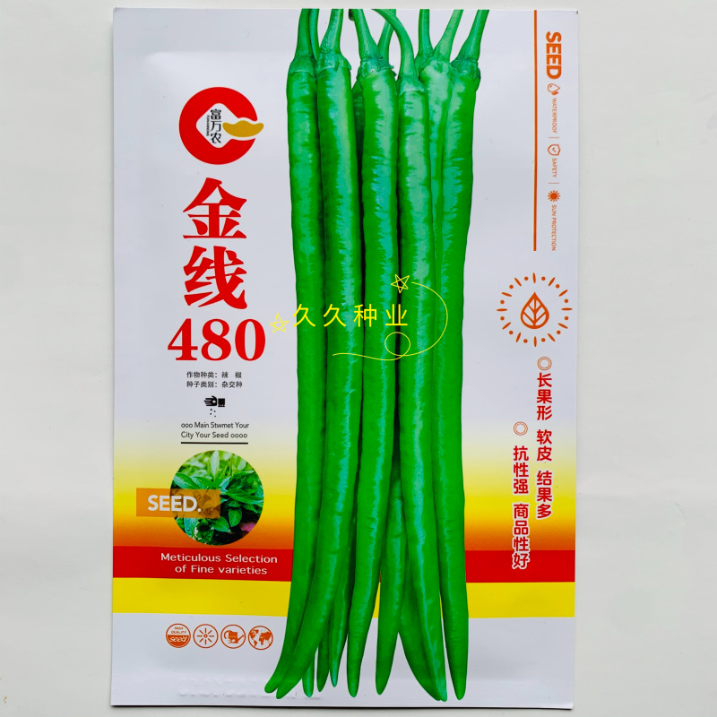 金线480早熟一代杂交软皮长线种子果形顺直口感好味香辣