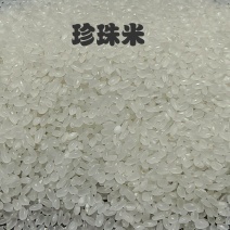 23-24一级珍珠米可批拉批结货源充足，基地直供可面议