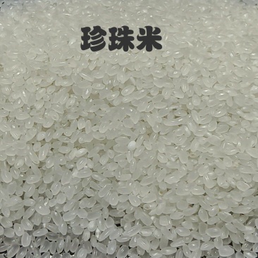 23-24一级珍珠米可批拉批结货源充足，基地直供可面议