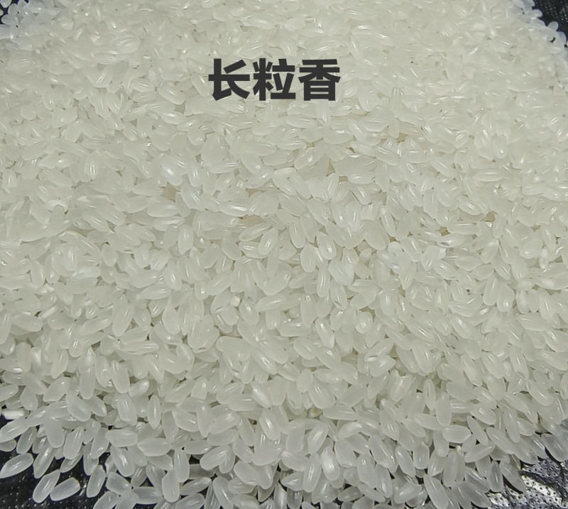 25年一级长粒香大米可批拉批结，基地直供，具体面议