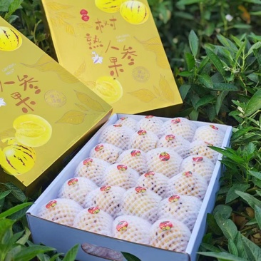 云南人参果代发