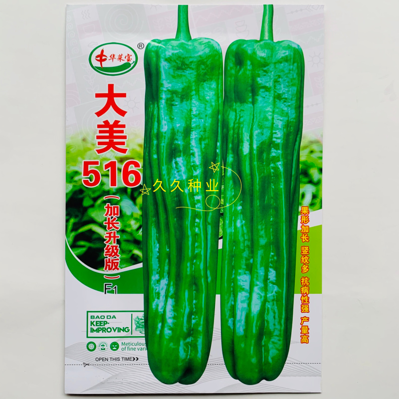 大美516早熟大果薄皮泡椒种子竖纹多亮度高长灯笼椒种