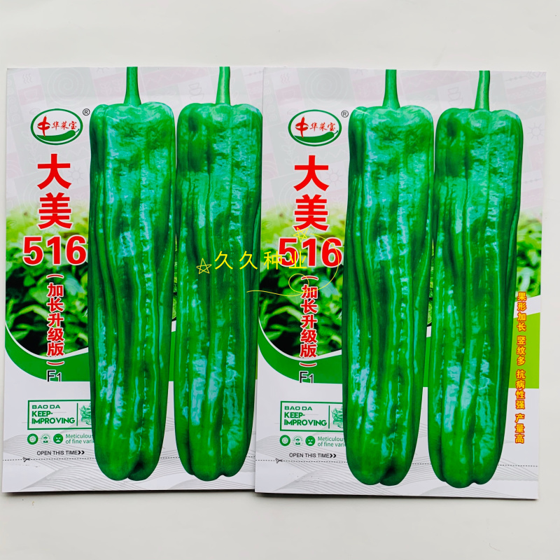 大美516早熟大果薄皮泡椒种子竖纹多亮度高长灯笼椒种