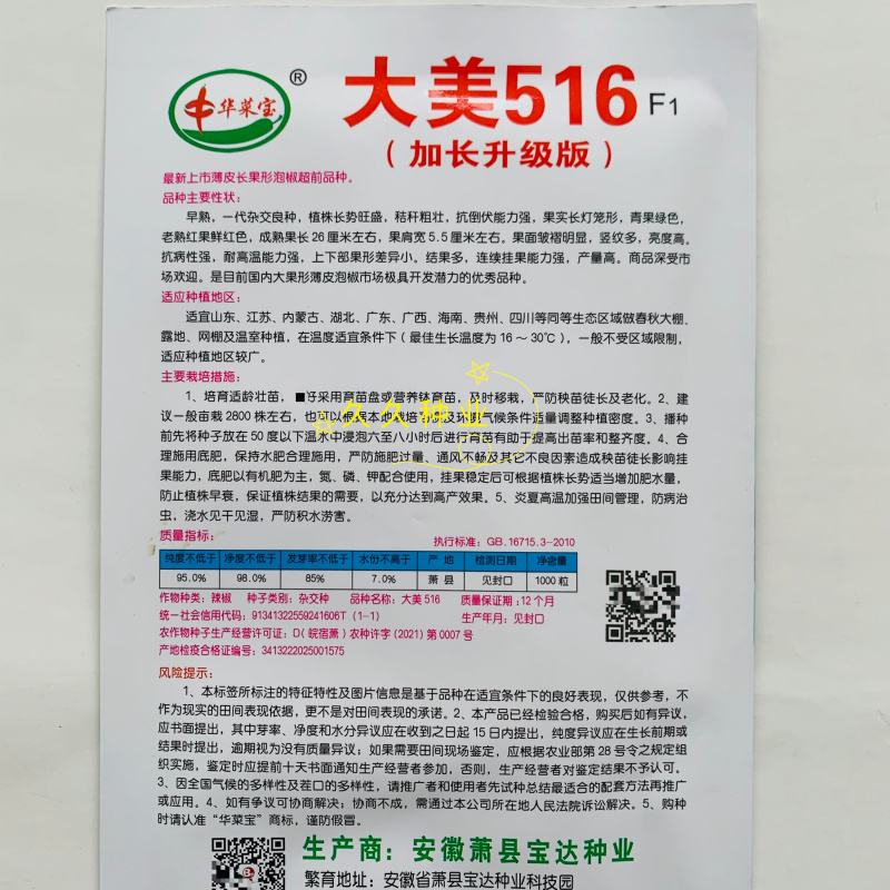 大美516早熟大果薄皮泡椒种子竖纹多亮度高长灯笼椒种