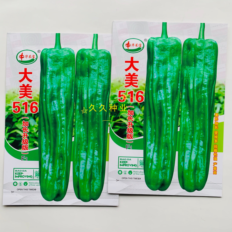 大美516早熟大果薄皮泡椒种子竖纹多亮度高长灯笼椒种