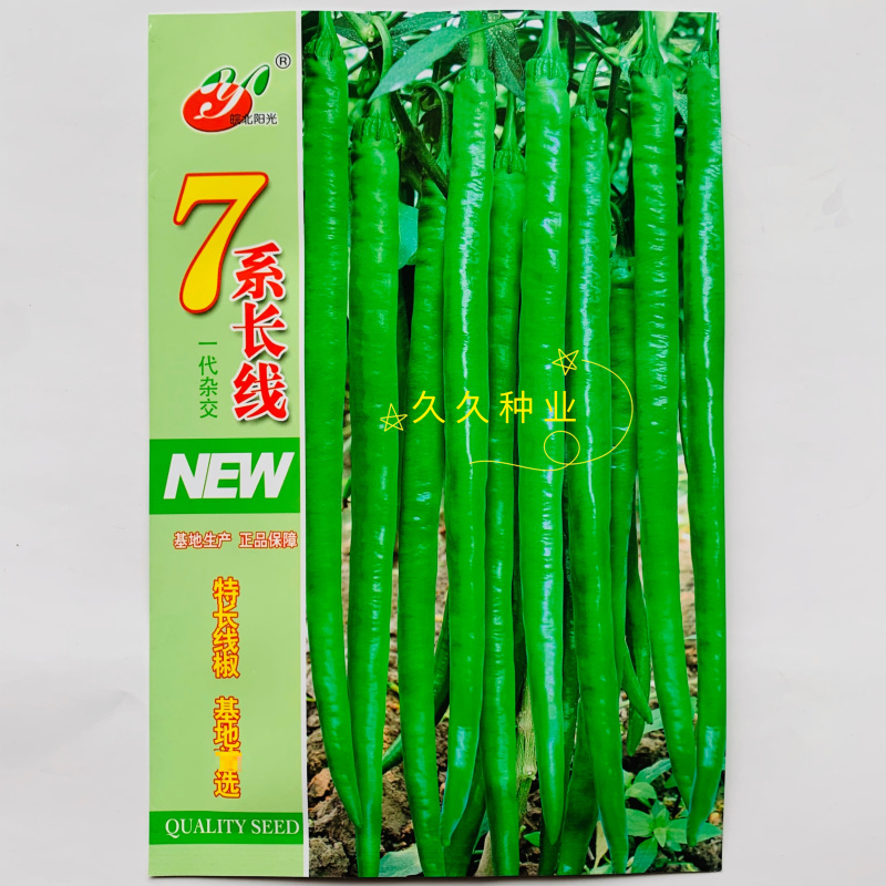 7系长线辣椒种子加长加粗型线椒早熟品种皮薄肉厚高产抗病