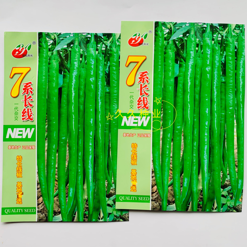 7系长线辣椒种子加长加粗型线椒早熟品种皮薄肉厚高产抗病