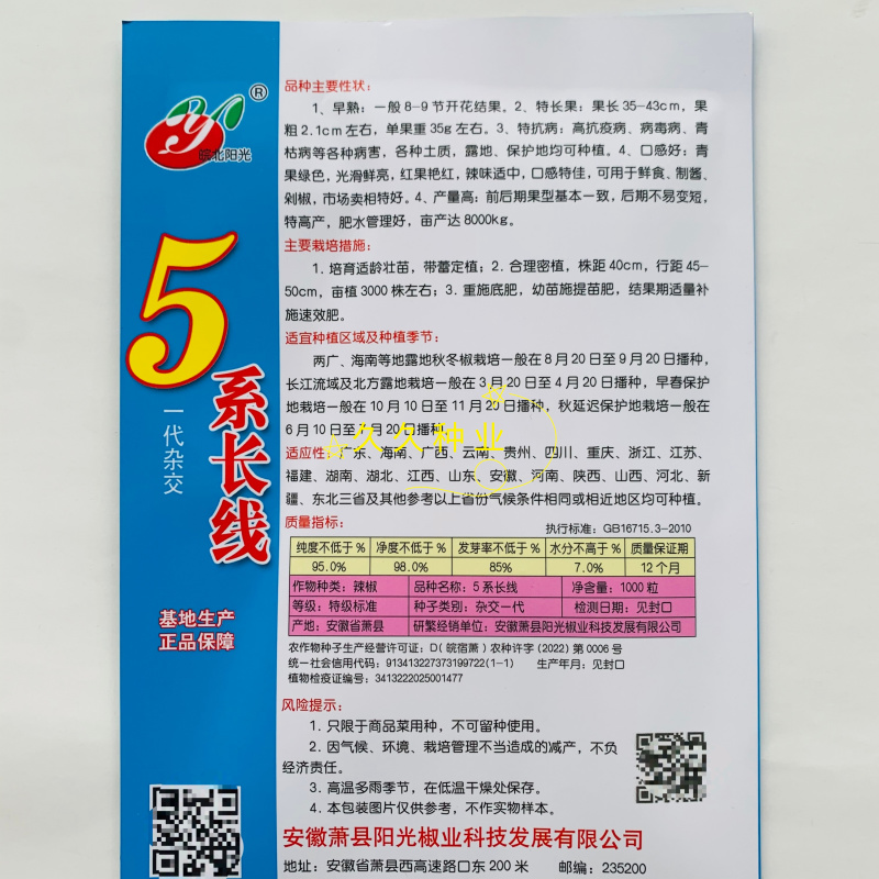 5系长线椒种子早熟抗病辣椒种籽中辣特长果顺直青红两用