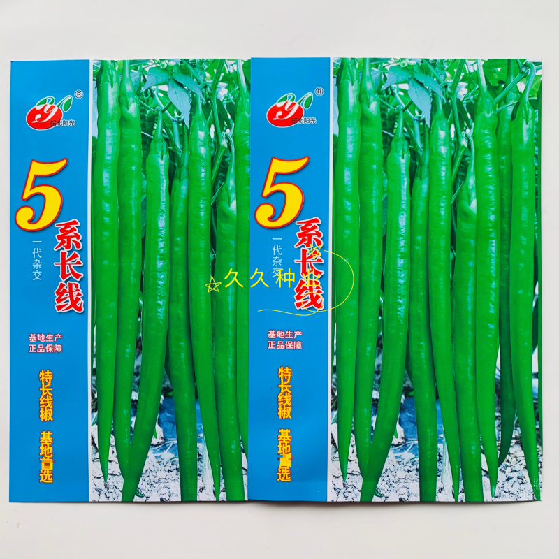 5系长线椒种子早熟抗病辣椒种籽中辣特长果顺直青红两用