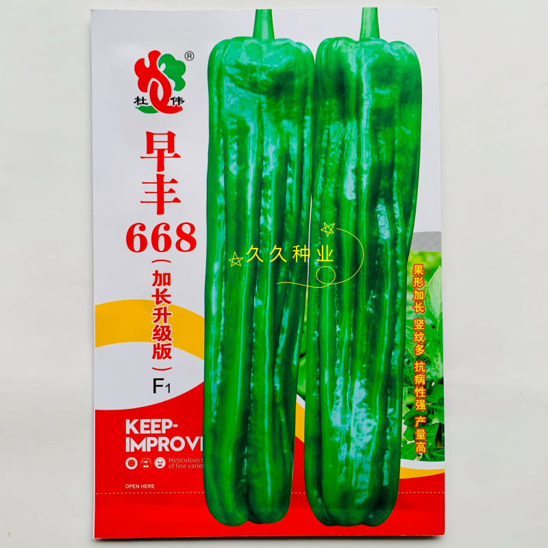 早丰668加长升级版薄皮长果型泡椒品种早中熟抗倒伏能力强