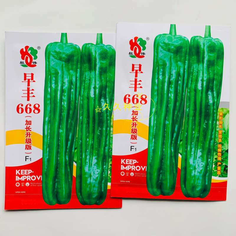 早丰668加长升级版薄皮长果型泡椒品种早中熟抗倒伏能力强