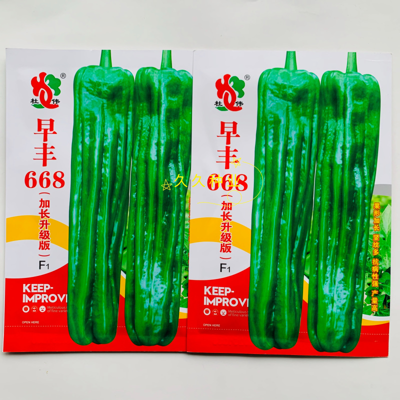 早丰668加长升级版薄皮长果型泡椒品种早中熟抗倒伏能力强
