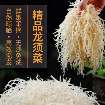龙须菜
