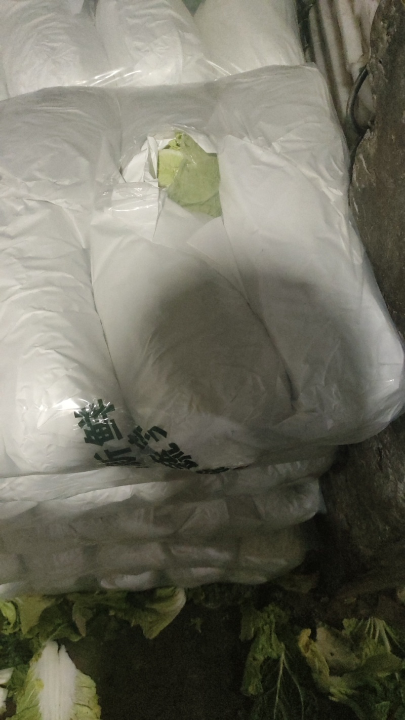 河北定州蔬菜基地兴源蔬菜发往全国各大市场期待全国客商洽谈