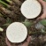 乐昌香芋