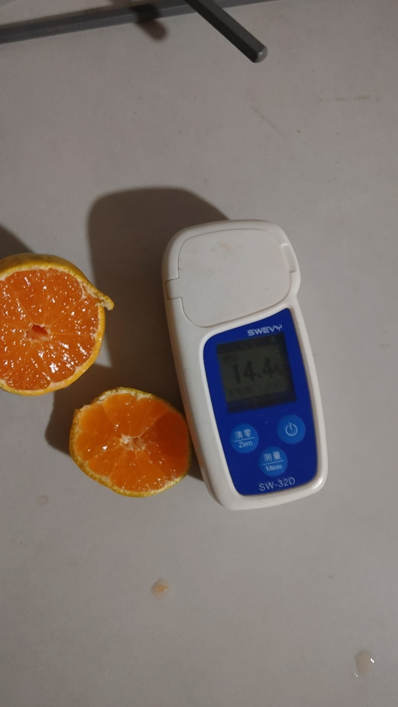75-90规格带叶大果果面干净