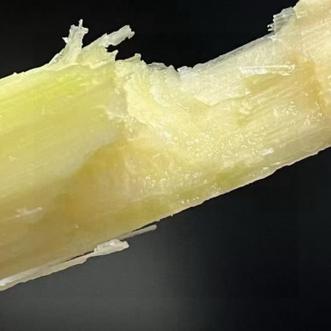 顺丰漓江黑皮甘蔗去头去尾，只取口感好的中段，真空发货