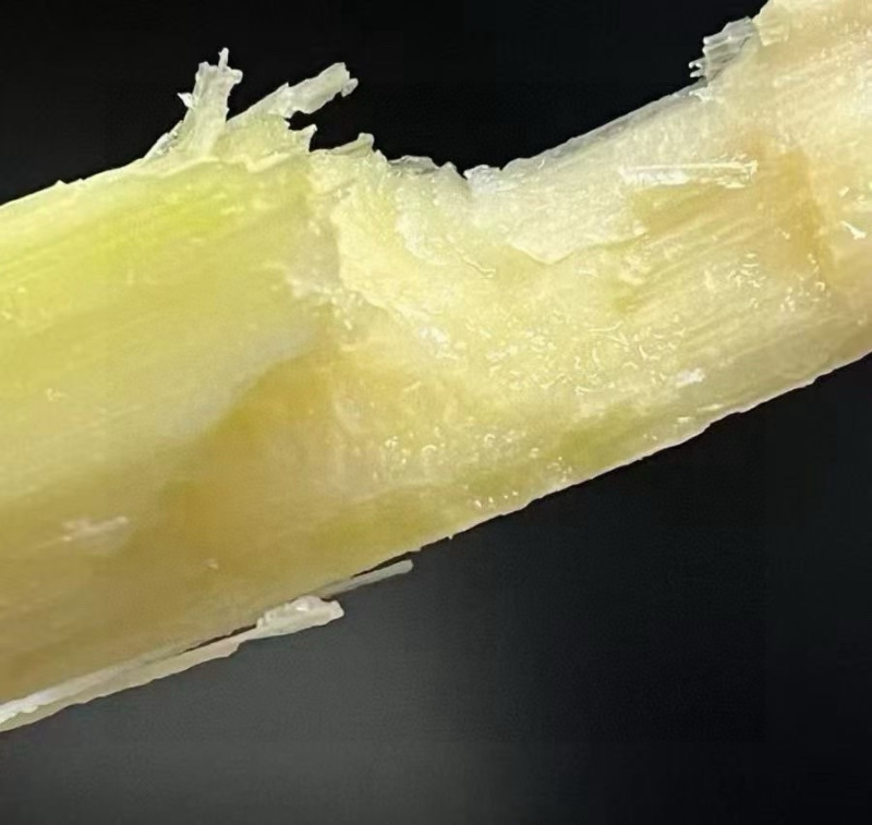 顺丰漓江黑皮甘蔗去头去尾，只取口感好的中段，真空发货
