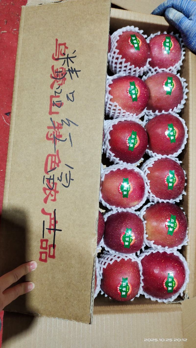 云南省昭通市昭阳区10月27日**红富士通货报价2.4元
