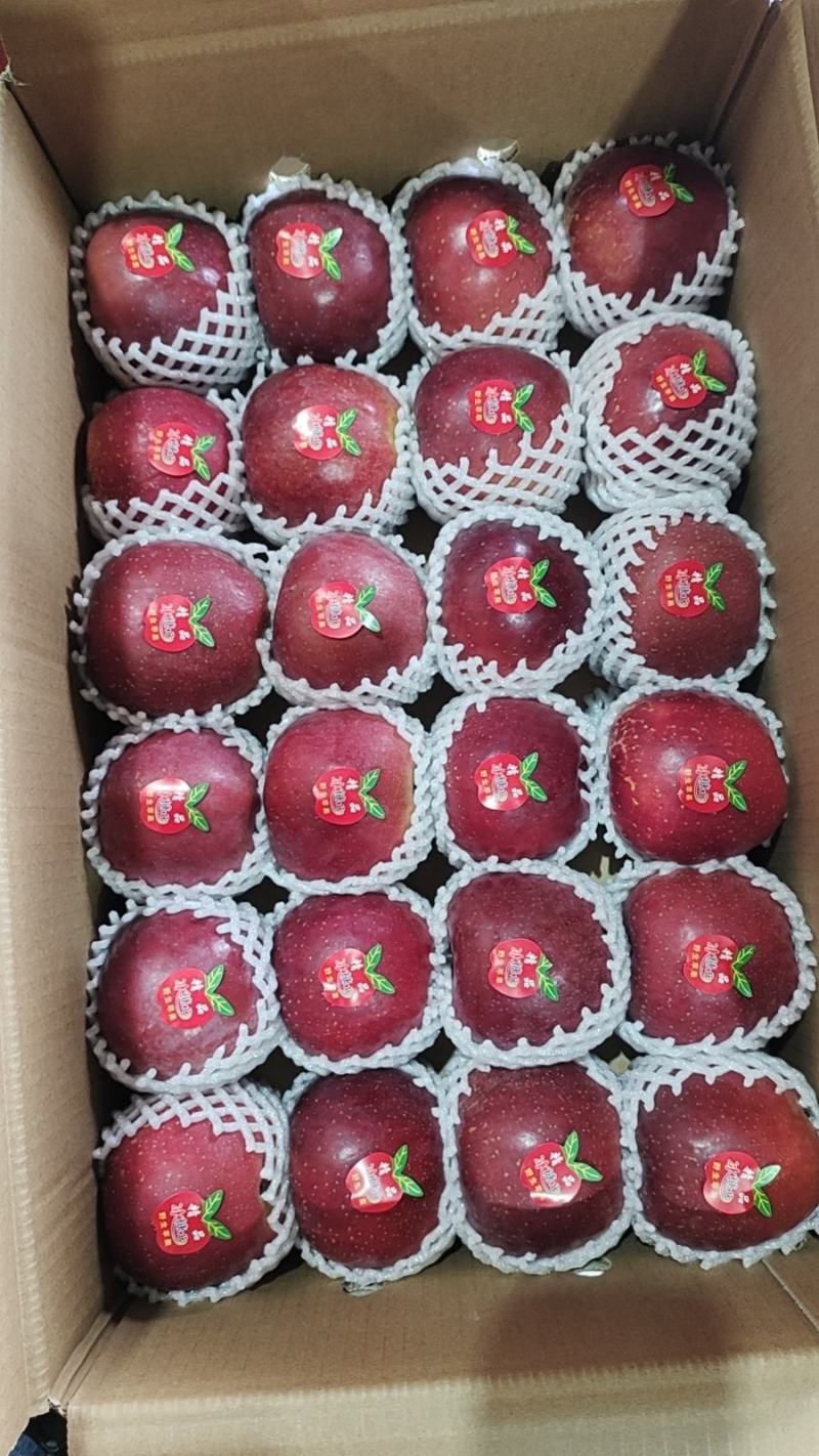 云南省昭通市昭阳区10月27日**红富士通货报价2.4元