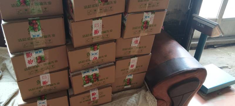 沾化冬枣产地大量现货欢迎客商采购代发代存